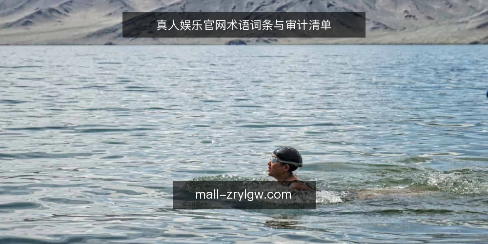 真人娱乐官网术语词条与审计清单 — 为何现在审计真人娱乐官网术语 配图