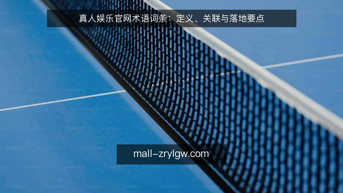 真人娱乐官网术语词条：定义、关联与落地要点
