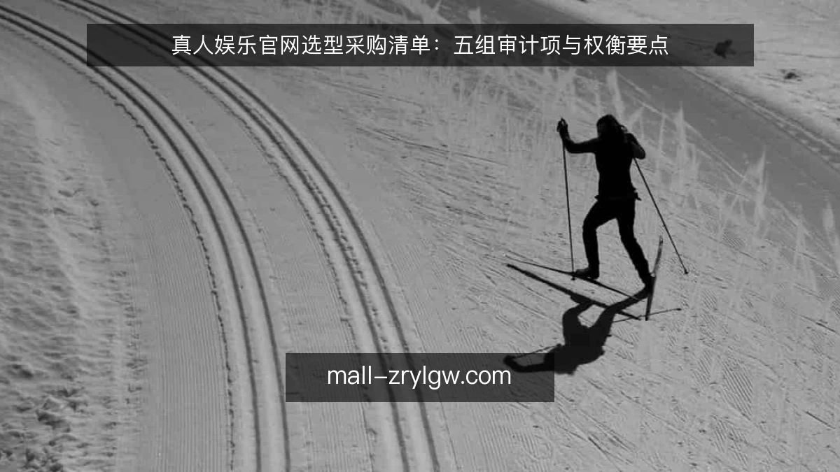 真人娱乐官网选型采购清单:五组审计项与权衡要点
