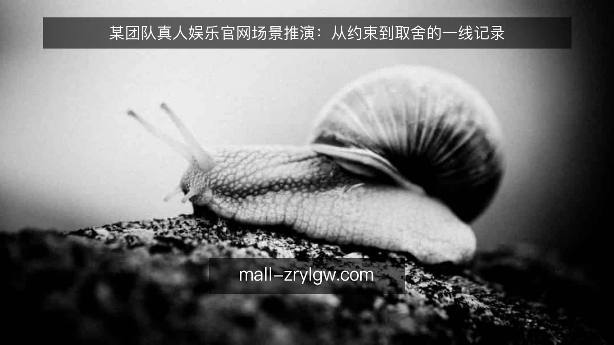 某团队真人娱乐官网场景推演:从约束到取舍的一线记录